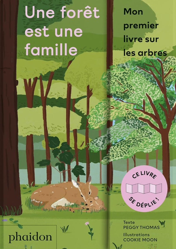 Une forêt est une famille - flash vidéo