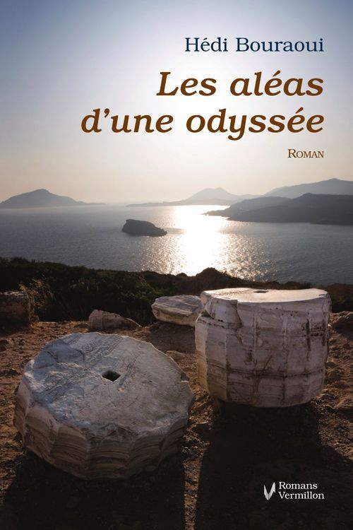 Les aléas d'une odyssée - flash vidéo