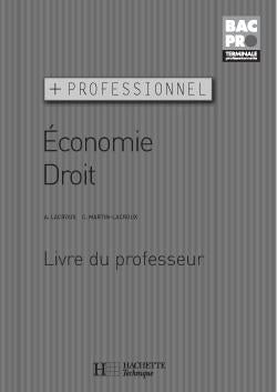 Economie droit terminale bac pro (+professionnel) - livre du professeur - edition 2005