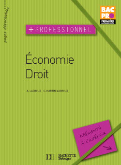 Plus professionnel
