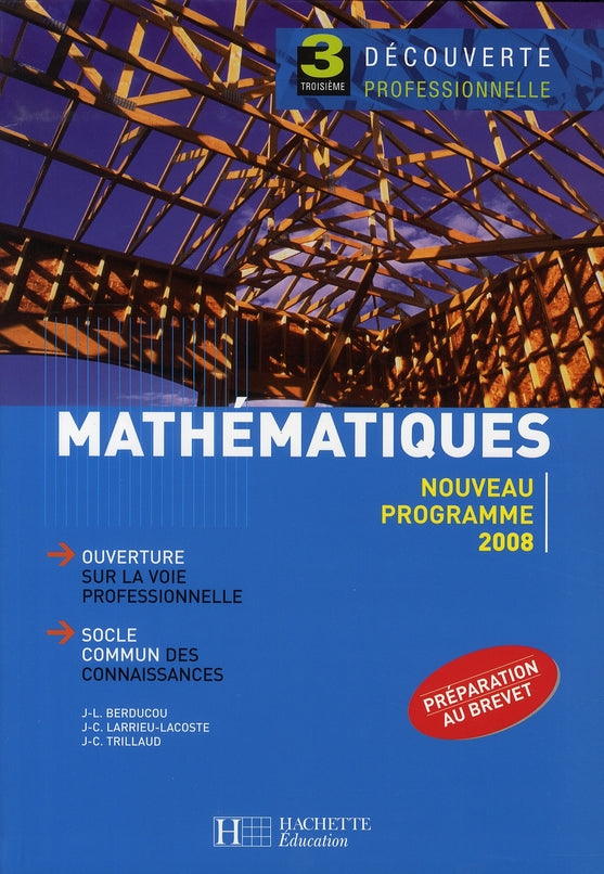Mathematiques 3e decouverte professionnelle - livre eleve - ed.2008