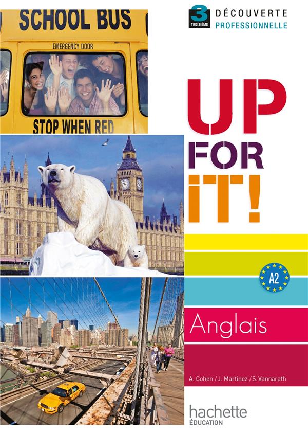 UP FOR IT! : anglais ; 3ème découverte professionnelle ; livre de l'élève (édition 2010)