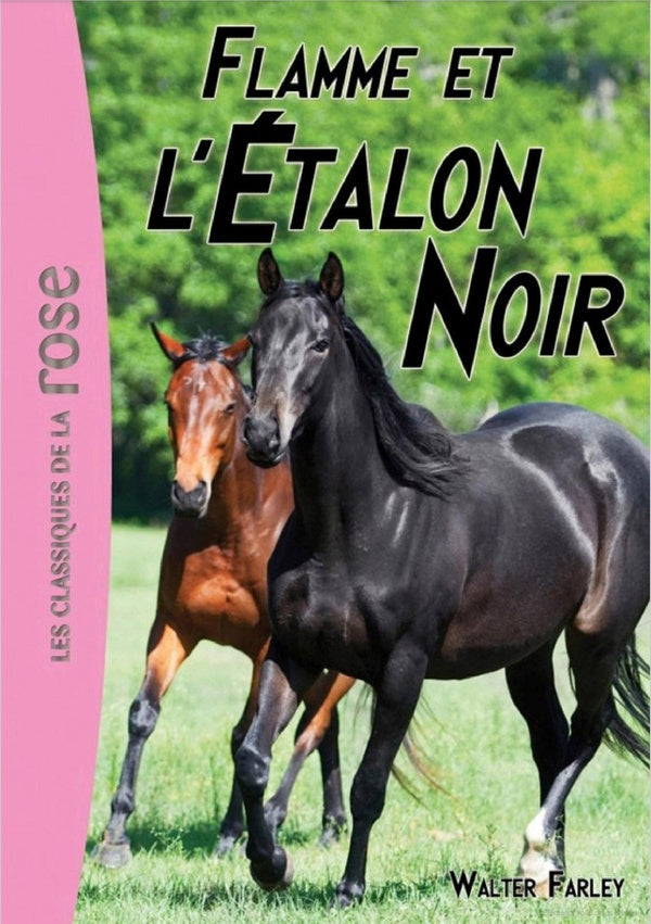 L'étalon noir Tome 17 : Flamme et l'étalon noir