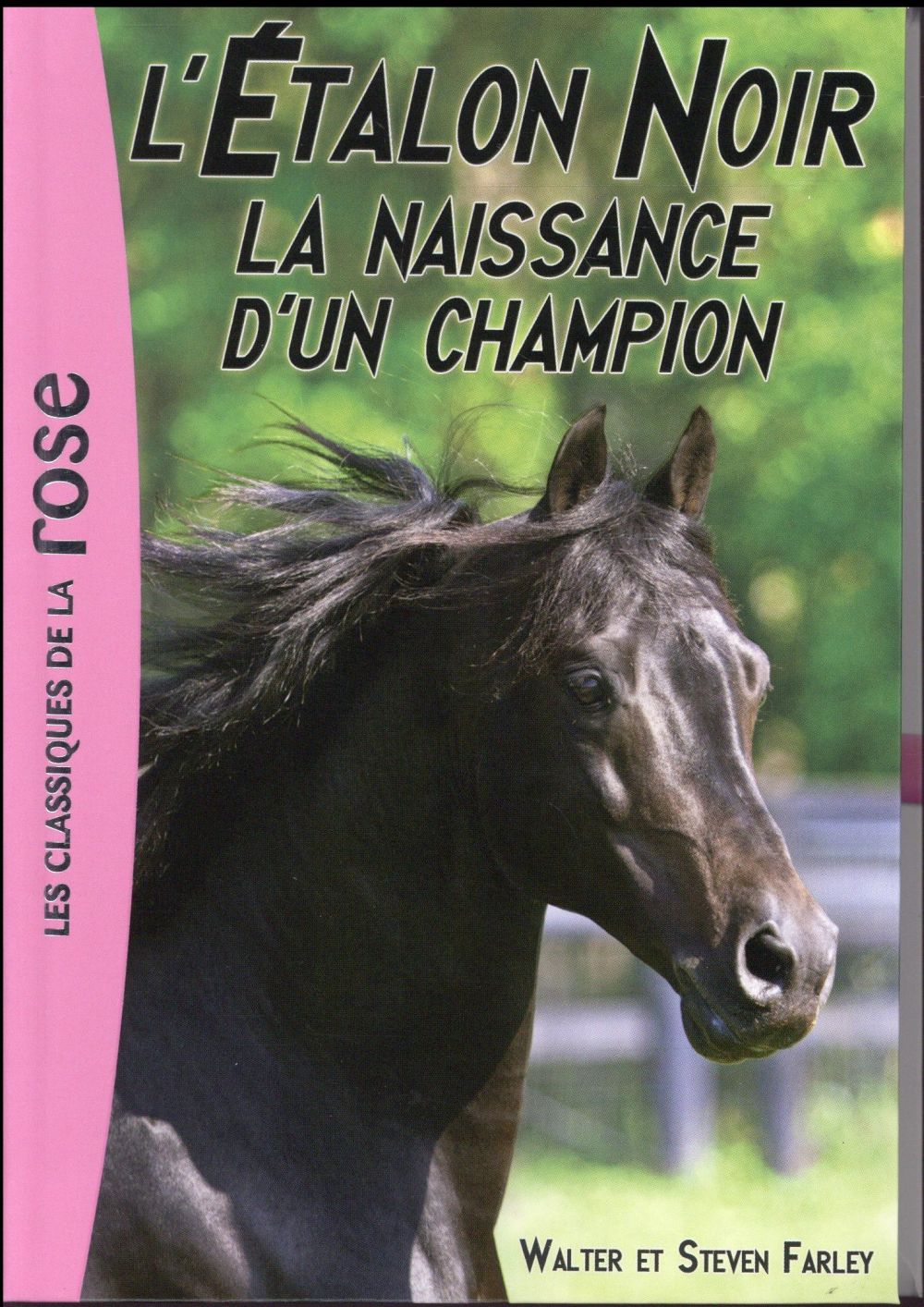 L'étalon noir Tome 19 : la naissance d'un champion