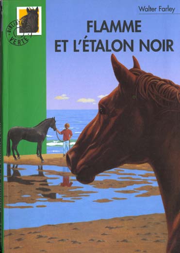 L'étalon noir : Flamme et l'étalon noir