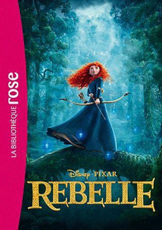 Rebelle, le roman du film