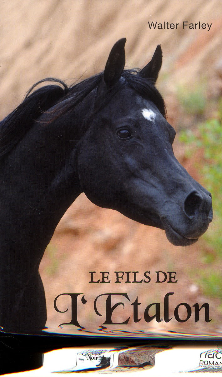 L'étalon noir Tome 3 : le fils de l'étalon noir