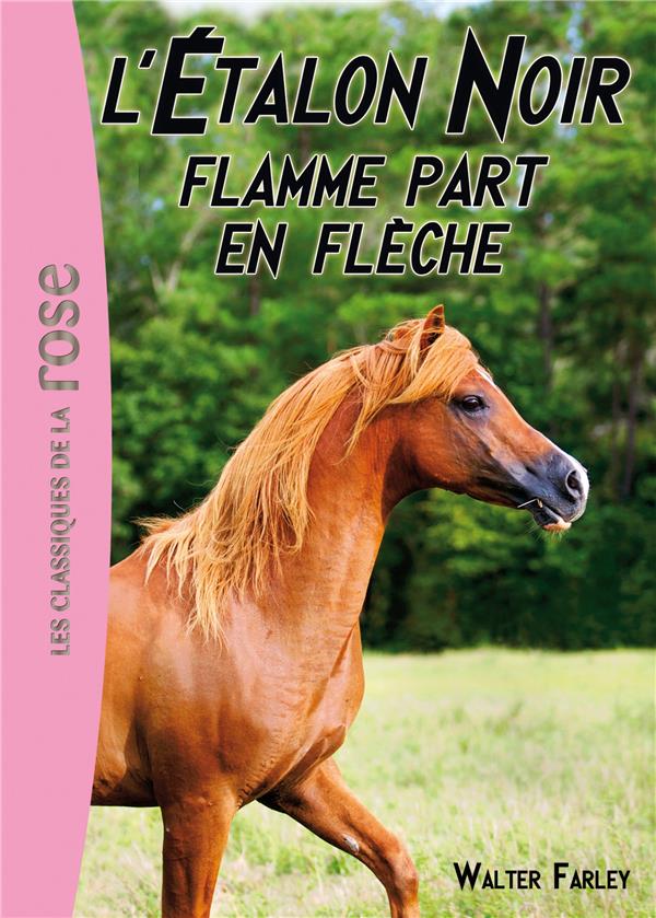 L'étalon noir Tome 12 : Flamme part en flèche