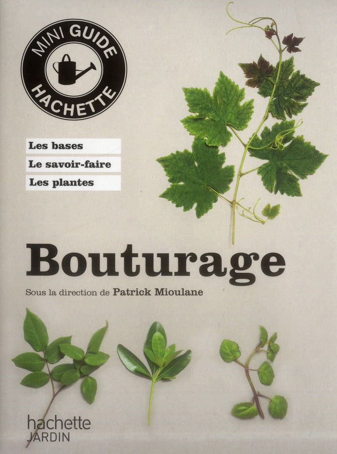 Bouturage