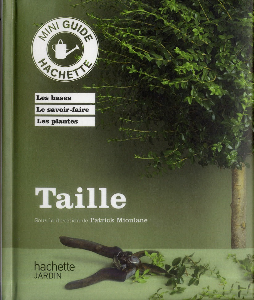 Taille
