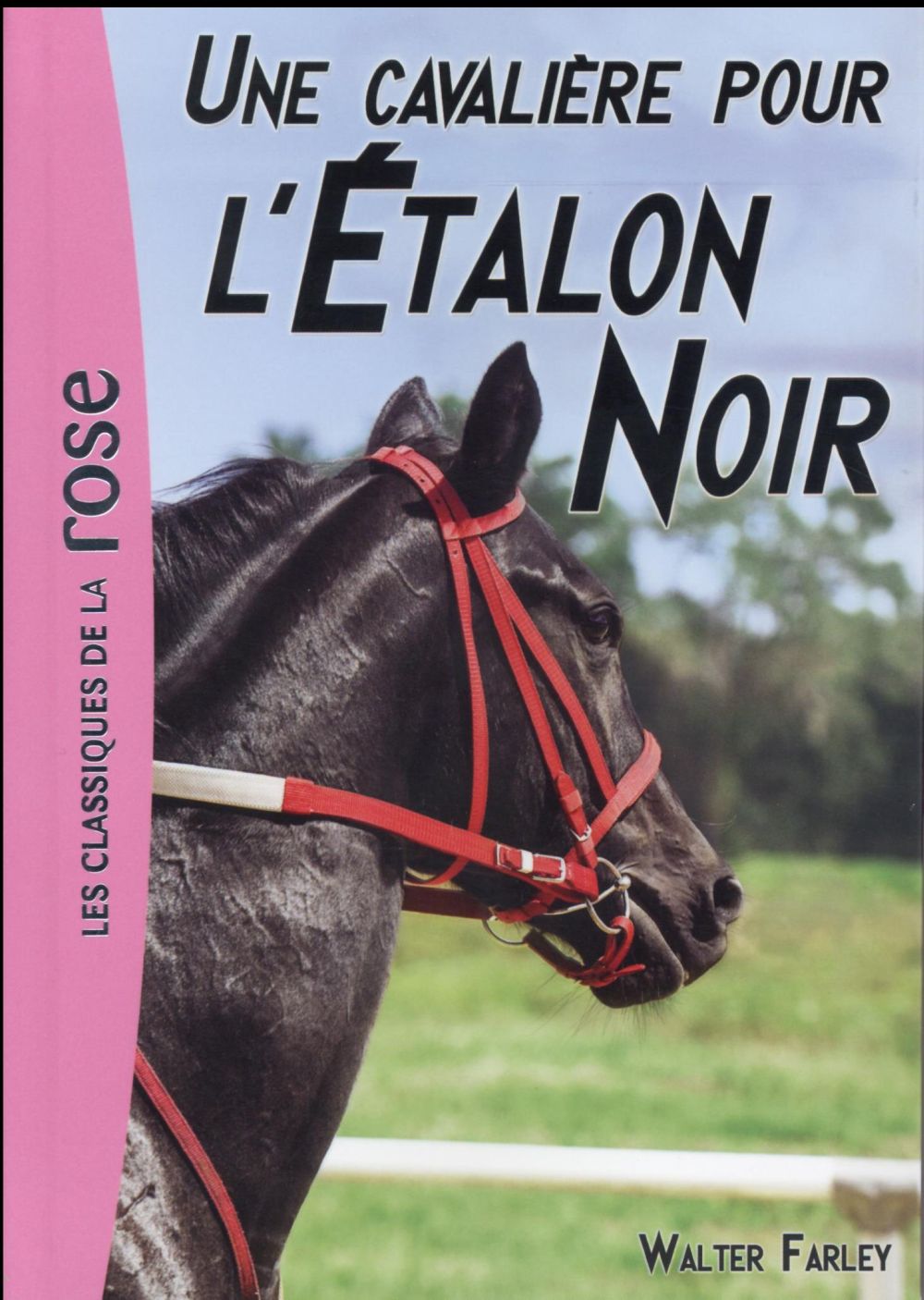 L'étalon noir Tome 18 : une cavalière pour l'étalon noir