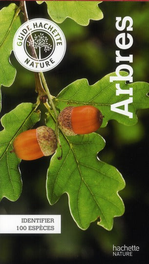 Arbres ; identifier 100 espèces