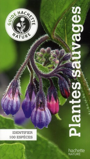 Plantes sauvages ; identifier 100 espèces