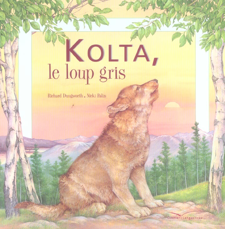 Kolta, le loup gris