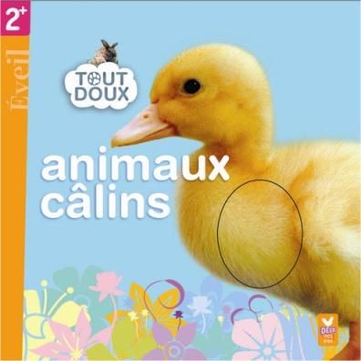 Tout doux ; animaux câlins