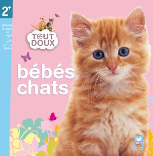 Tout doux ; bébés chats