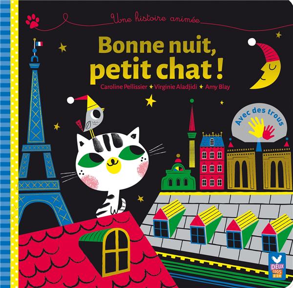 Un livre à trous ; bonne nuit, petit chat !