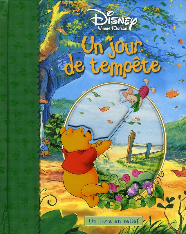 Un jour de tempête