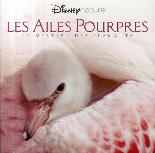 Les ailes pourpres ; le grand voyage des flamants roses