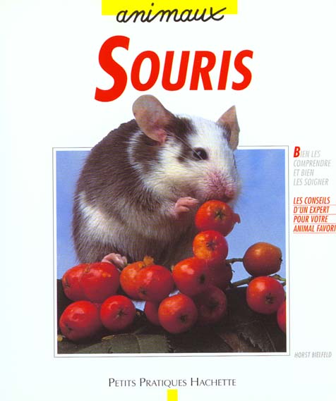 Souris