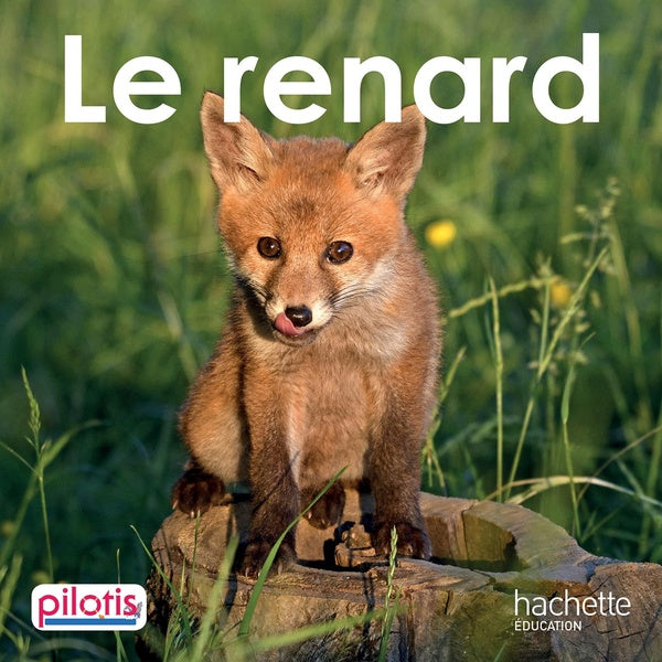 Pilotis Tome 2 : lecture ; CP ; le renard (édition 2019)