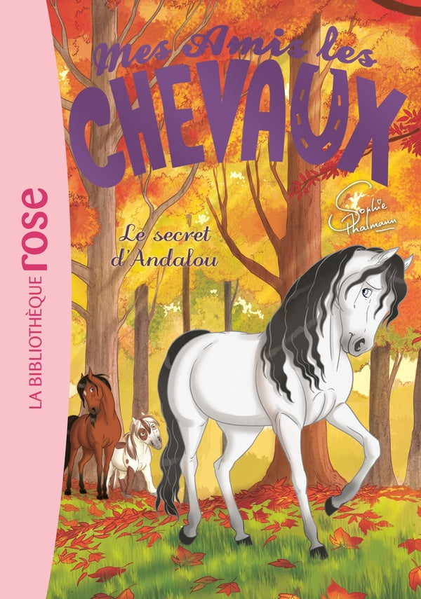 Mes amis les chevaux Tome 19 : le secret d'Andalou