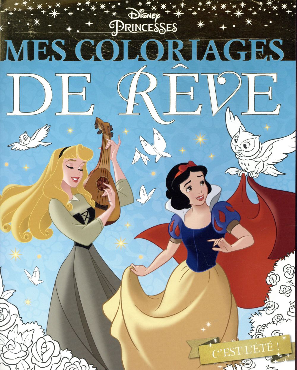 Mes coloriages de rêve : Disney Princesses