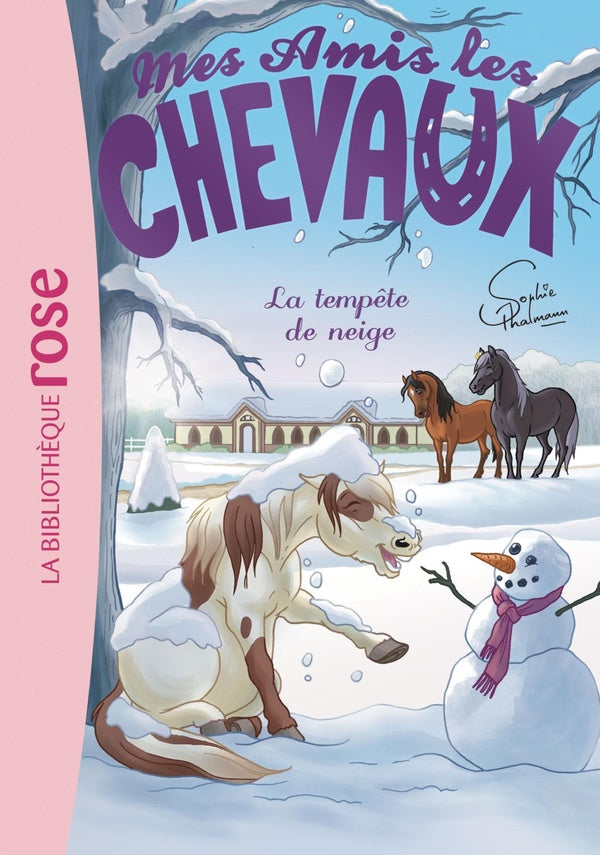 Mes amis les chevaux Tome 25 : la tempête de neige