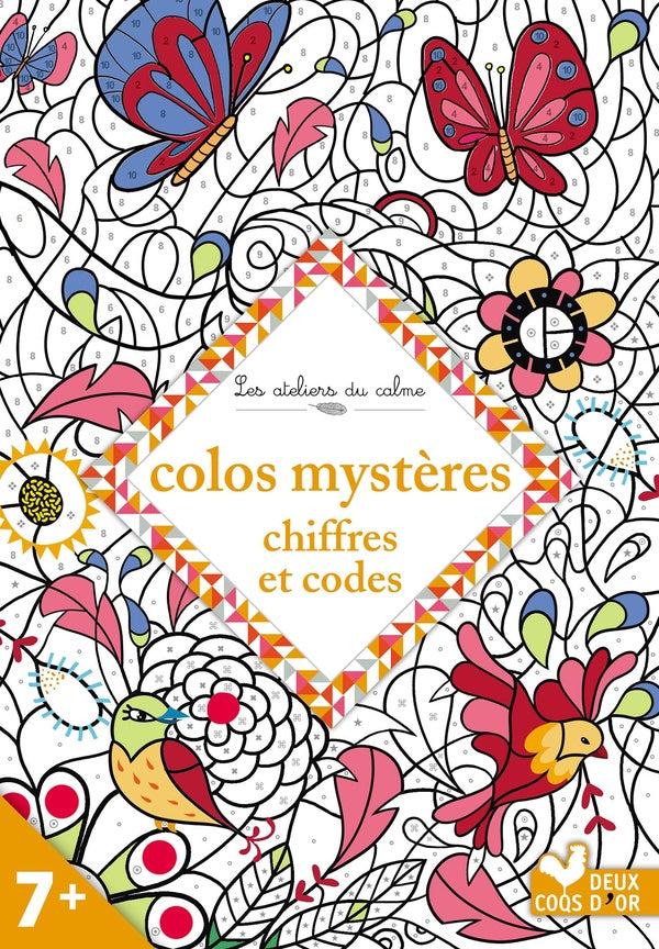 Les ateliers du calme : colos mystères ; chiffres et codes