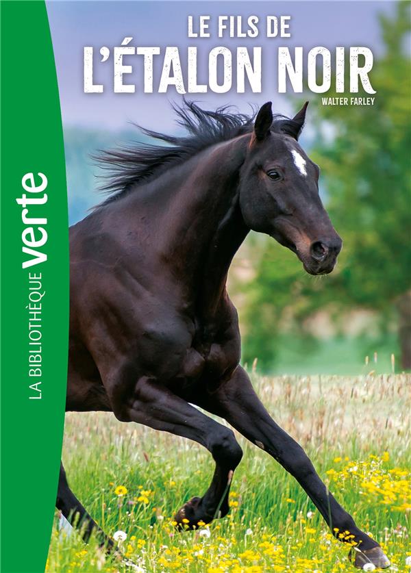 L'étalon noir Tome 4 : le fils de l'étalon noir