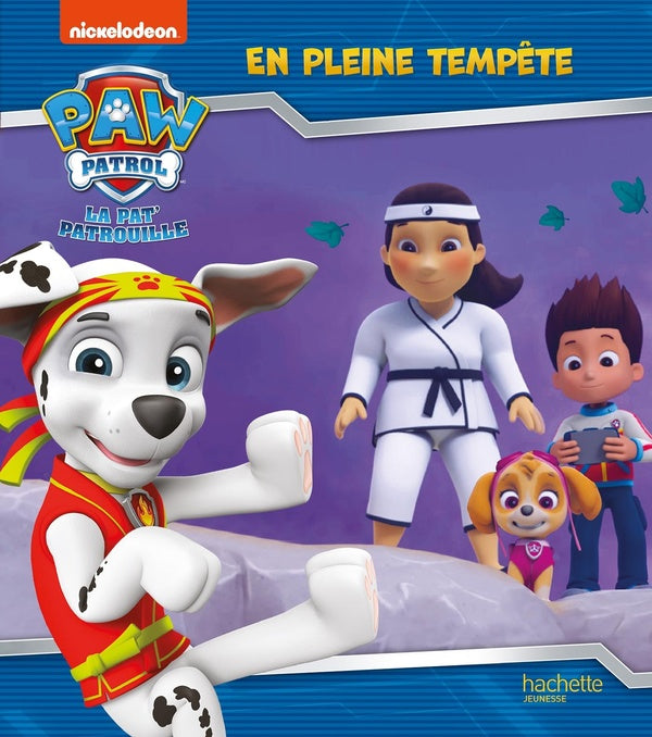 La Pat'Patrouille : en pleine tempête
