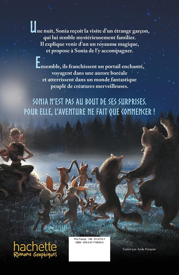 Les lumières du grand nord Tome 1 : La vallée des trolls