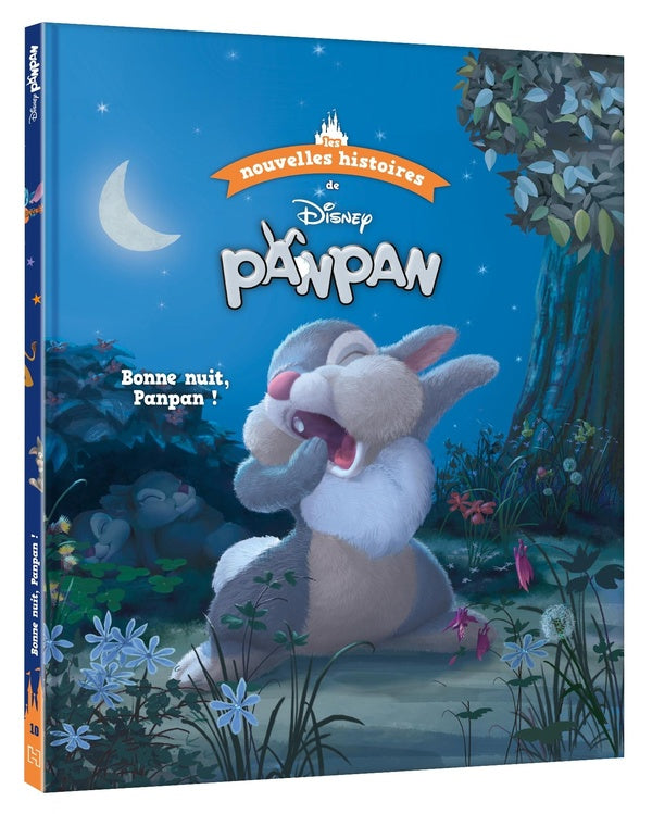 Les nouvelles histoires de Panpan : bonne nuit, Panpan !