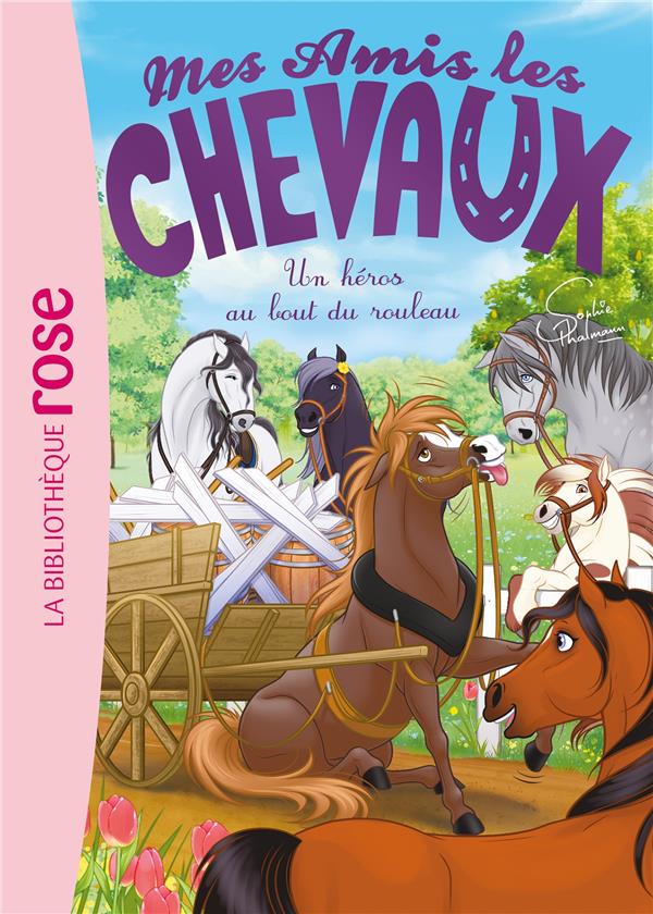 Mes amis les chevaux Tome 41 : un héros au bout du rouleau
