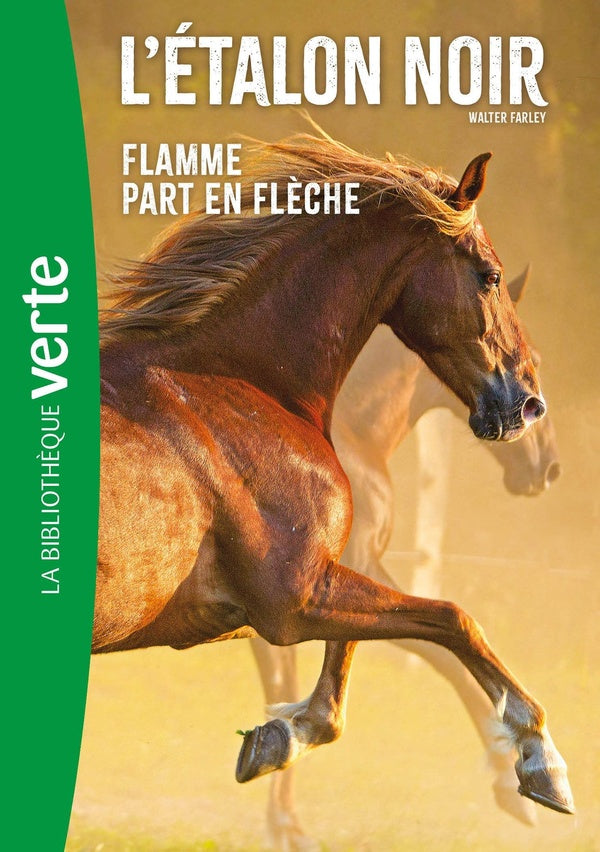 L'étalon noir Tome 12 : Flamme part en flèche
