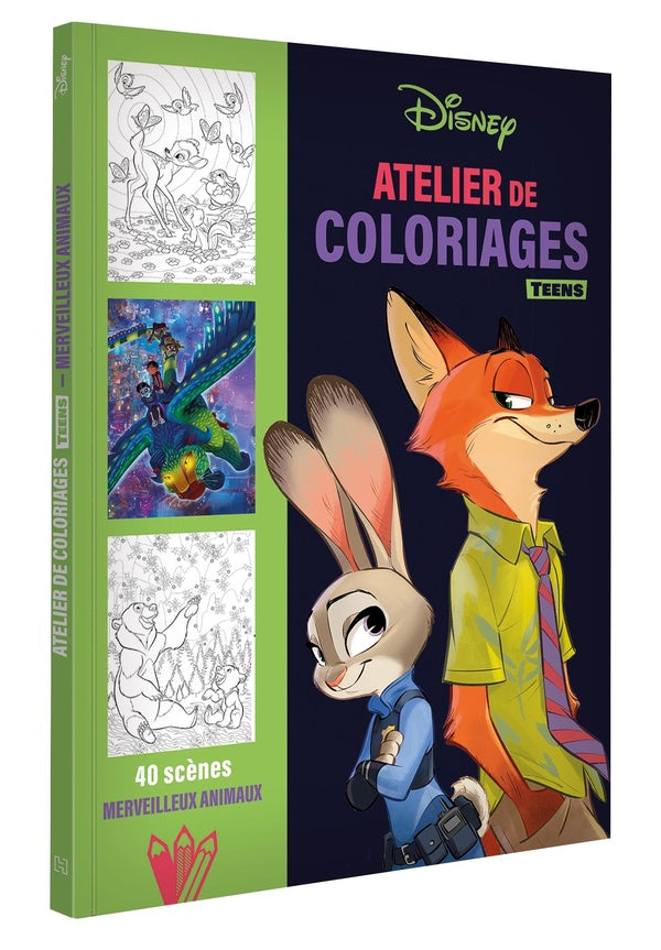 Atelier de coloriages teens : 40 scènes Merveilleux Animaux