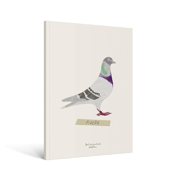 Carnet oiseau
