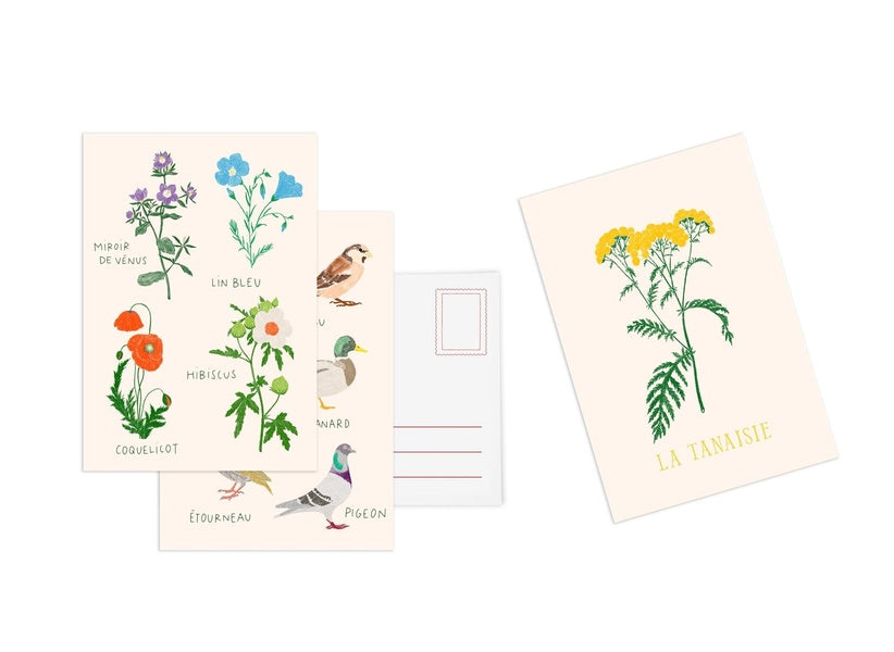 Cartes postales : Une collection de 10 cartes postales autour des fleurs