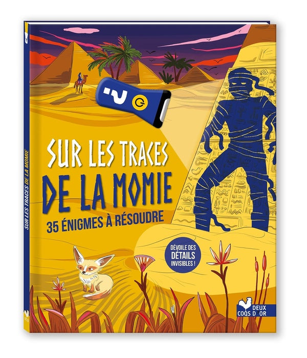 Sur les traces de la momie : 35 énigmes à résoudre