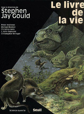 Le livre de la vie - flash vidéo