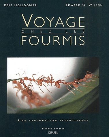 Voyage chez les fourmis ; une exploration scientifique - flash vidéo