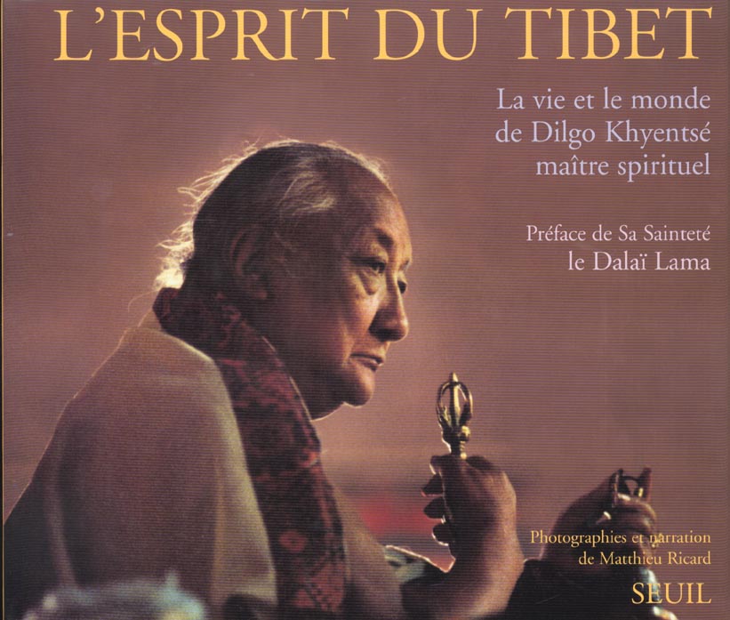 L'esprit du tibet. la vie et le monde de dilgo khyentse, maitre spirituel - flash vidéo