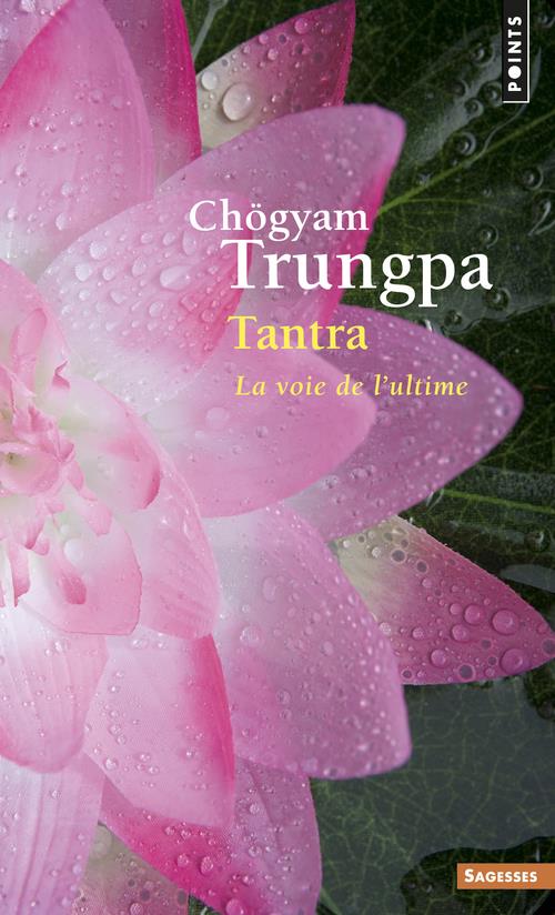 Tantra ; la voie de l'ultime
