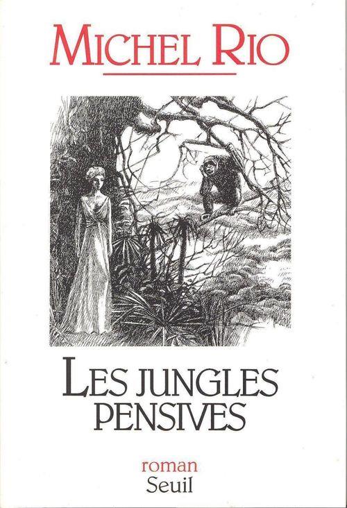 Les jungles pensives - flash vidéo