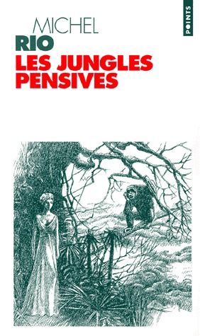 Les jungles pensives - flash vidéo