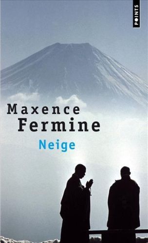 Neige - flash vidéo