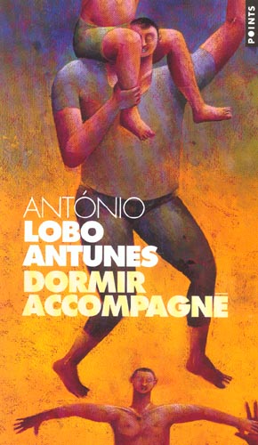 Dormir accompagné ; livre de chroniques Tome 2 - flash vidéo