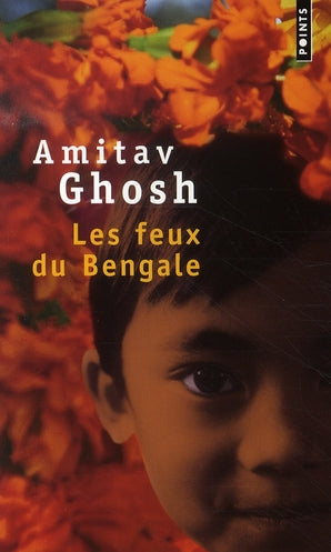 Les feux du bengale - flash vidéo