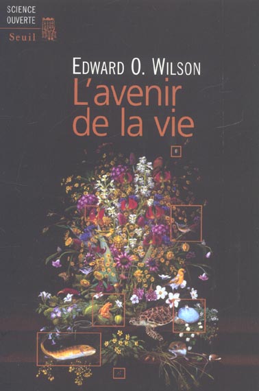 L'avenir de la vie - flash vidéo