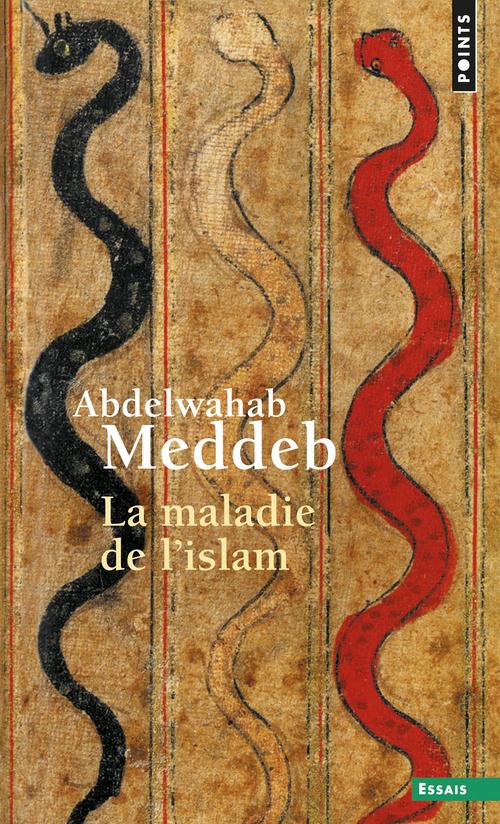 La maladie de l'Islam